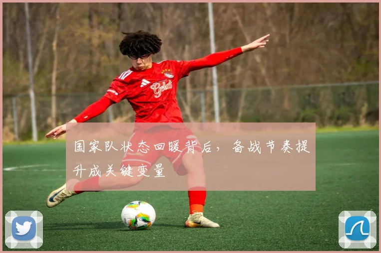 国家队状态回暖背后，备战节奏提升成关键变量